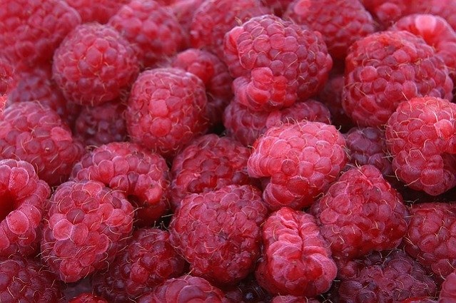 Berries